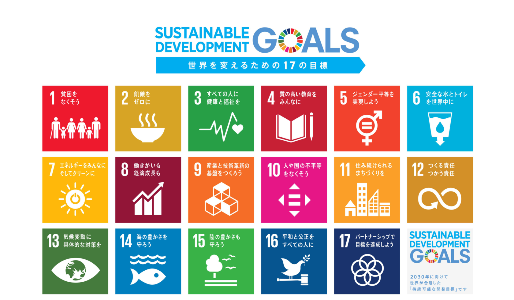 SDGsの写真
