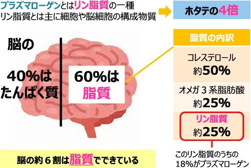 hoya_006 ほやって実はすごい！？知られざる5つの魅力