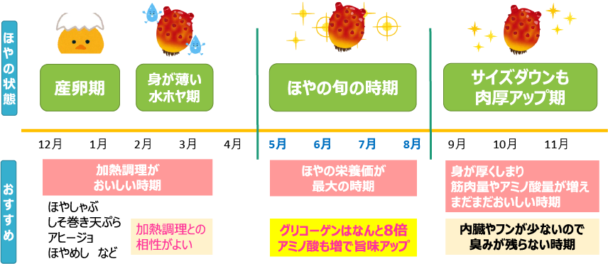 hoya_009 ほやって実はすごい！？知られざる5つの魅力