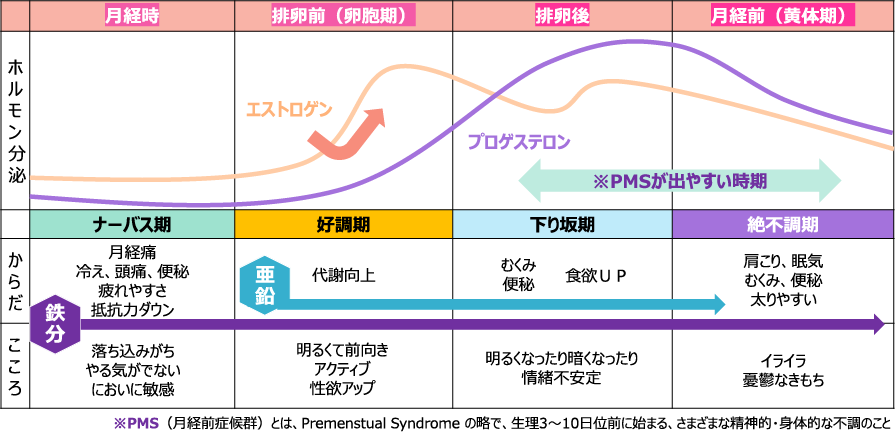 hoya_010 ほやって実はすごい！？知られざる5つの魅力