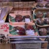 買えるタイミング・売り場情報