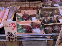 買えるタイミング・売り場情報